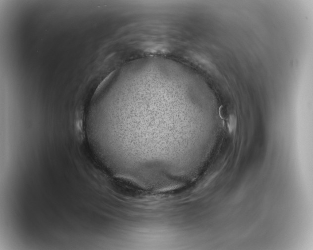 X0000088431396200706051221