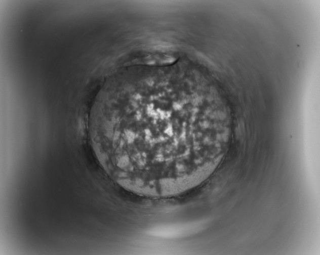 X0000088431397200706051221