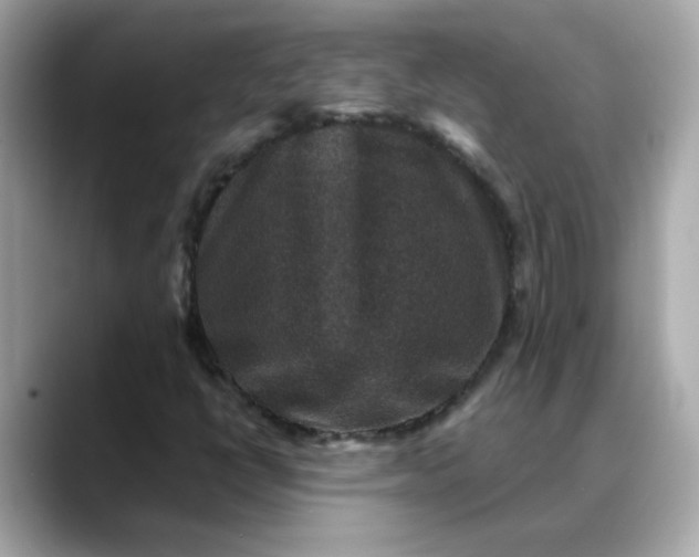 X0000088431398200706051222