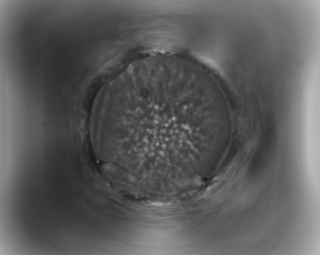 X0000088431399200706051222