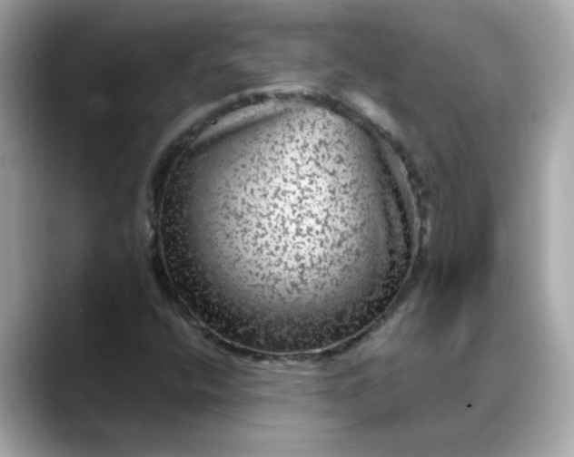 X0000088431400200706051222