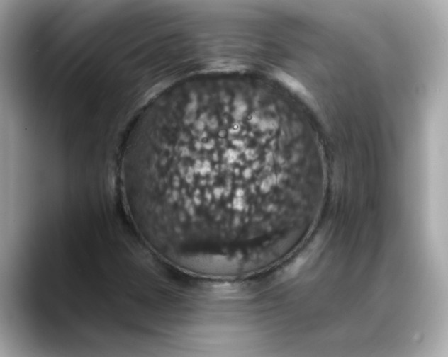 X0000088431401200706051222