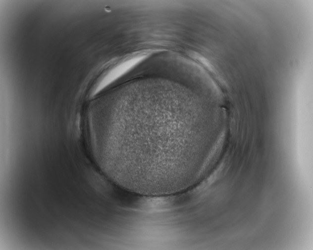 X0000088431402200706051222