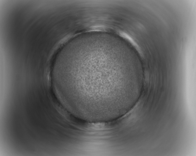 X0000088431403200706051222