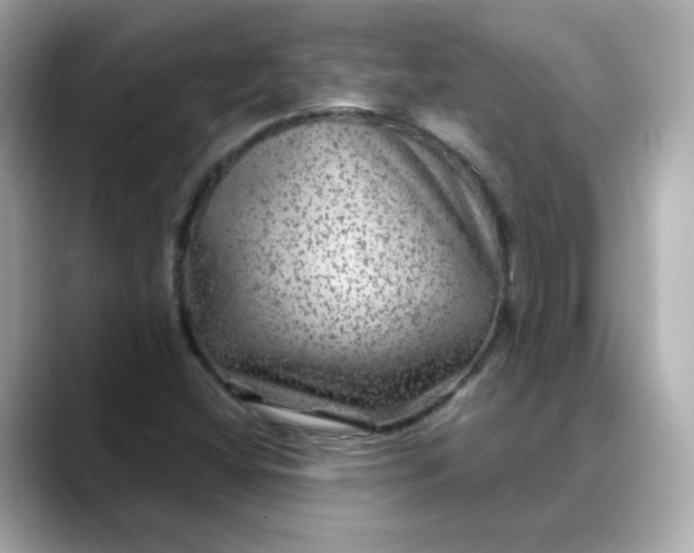 X0000088431404200706051222