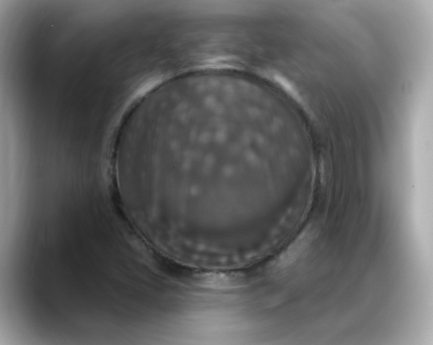 X0000088431405200706051222