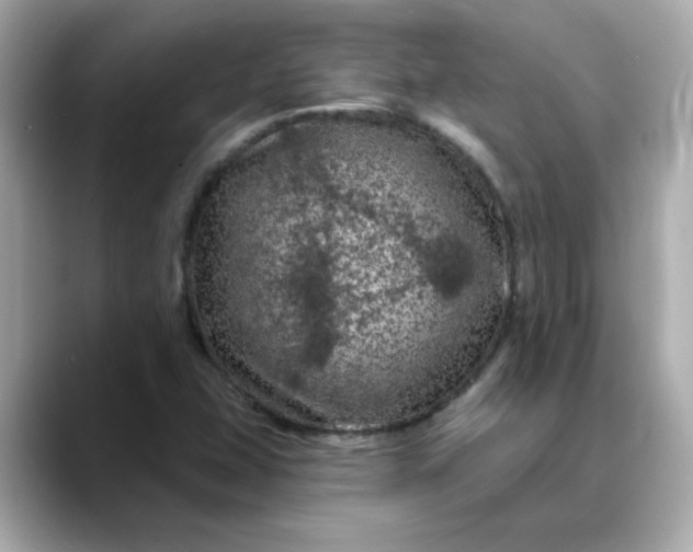 X0000088431407200706051222