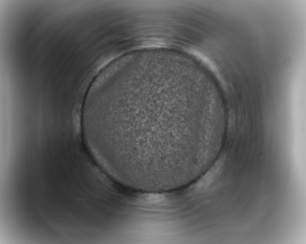 X0000088431409200706051222