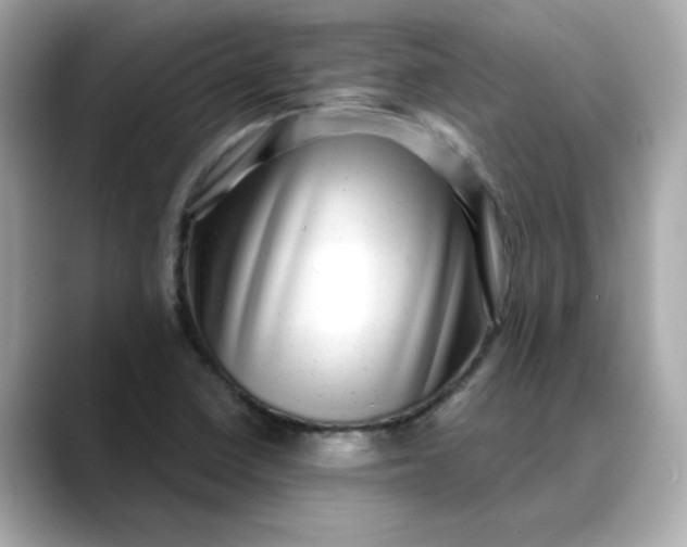 X0000088431410200706051222