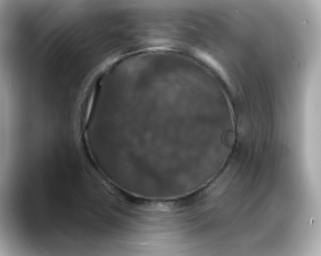 X0000088431411200706051222