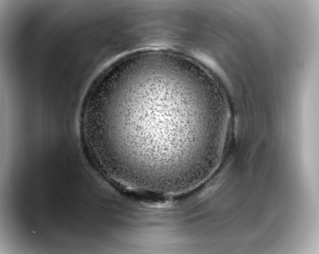 X0000088431412200706051222