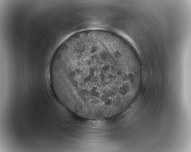 X0000088431415200706051222