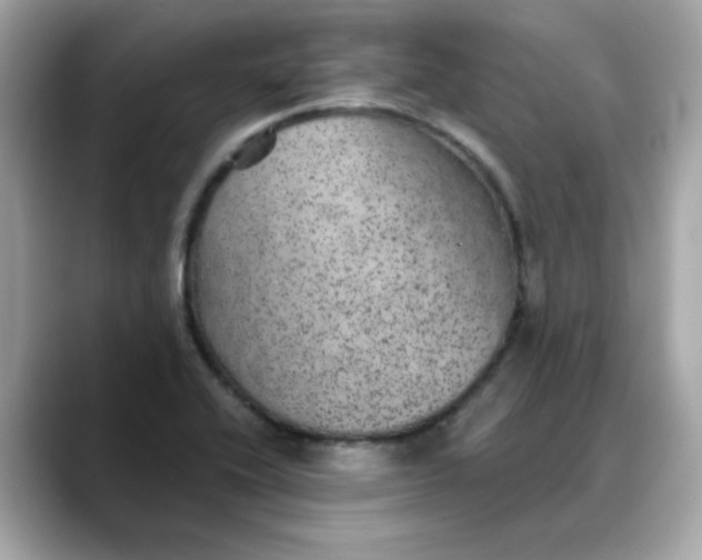 X0000088431416200706051222