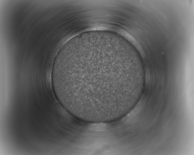 X0000088431417200706051222