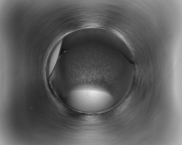 X0000088431418200706051222