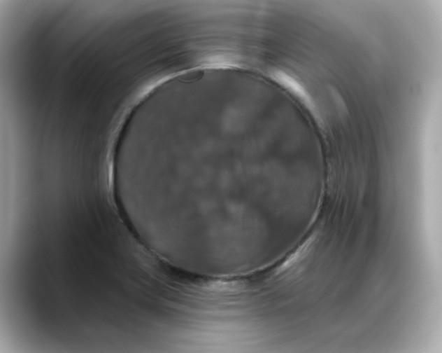 X0000088431419200706051222