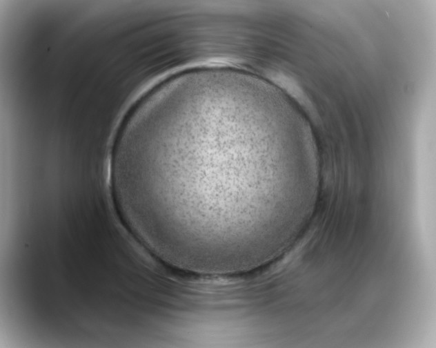 X0000088431420200706051222