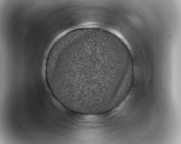 X0000088431421200706051222