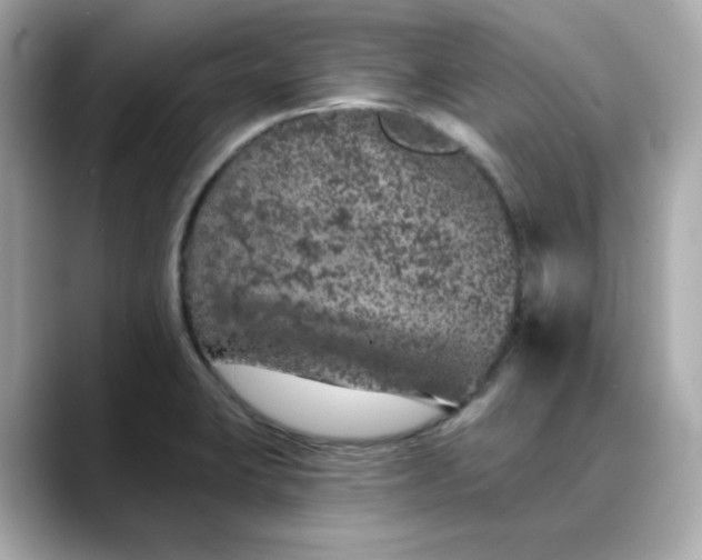 X0000088431423200706051222