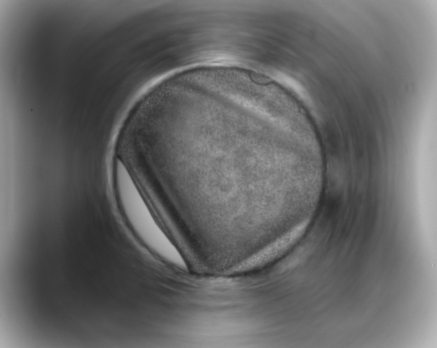 X0000088431424200706051222