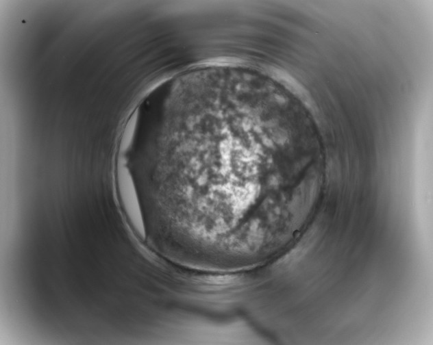 X0000088431425200706051222