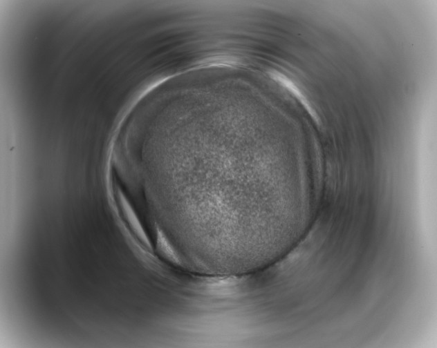 X0000088431426200706051222