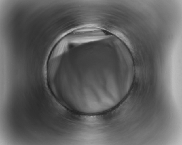 X0000088431428200706051222