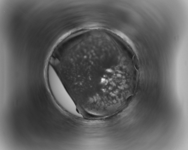 X0000088431429200706051222