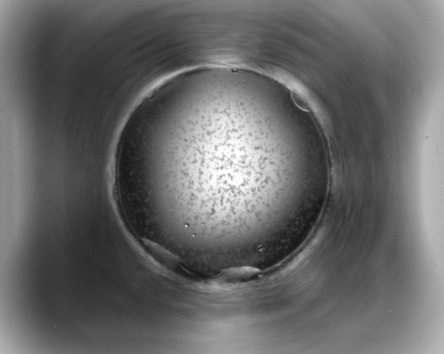 X0000088431432200706051222