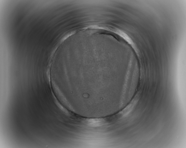 X0000088431433200706051222