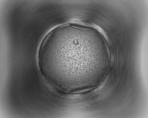 X0000088431435200706051222