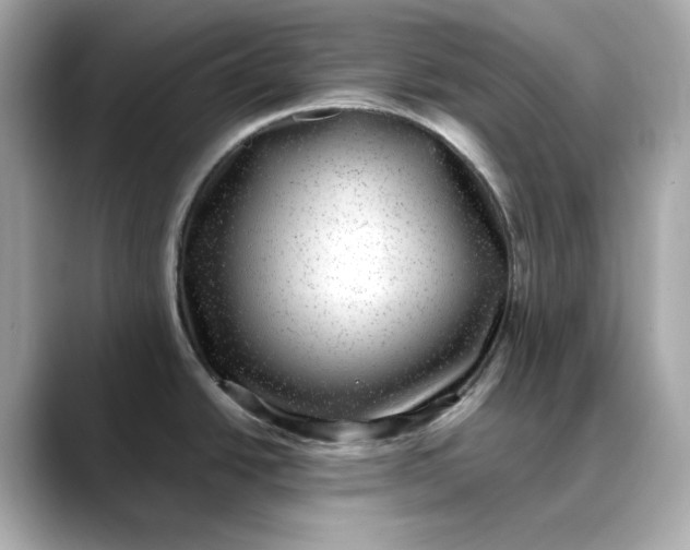 X0000088431438200706051222