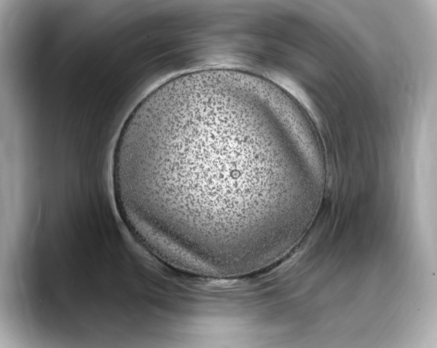 X0000088431439200706051222