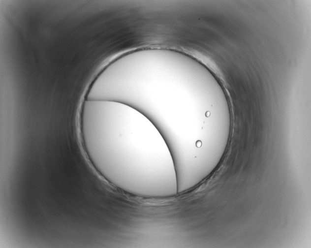 X0000088431440200706051222