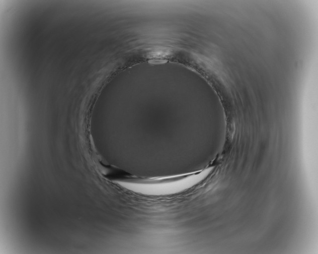 X0000088431441200706051221