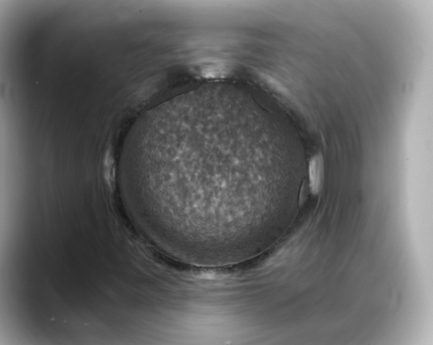 X0000088431443200706051221