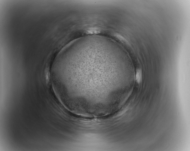 X0000088431444200706051221