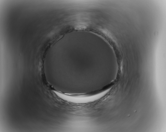 X0000088431445200706051221