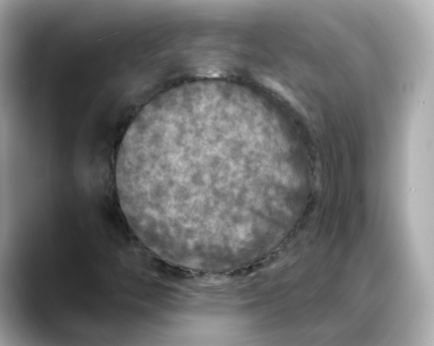 X0000088431446200706051221