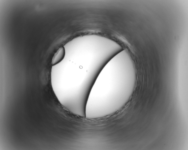 X0000088431448200706051221