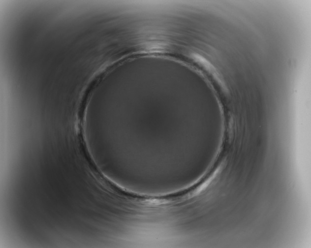 X0000088431449200706051221