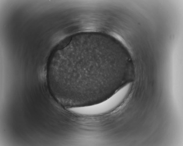 X0000088431450200706051221