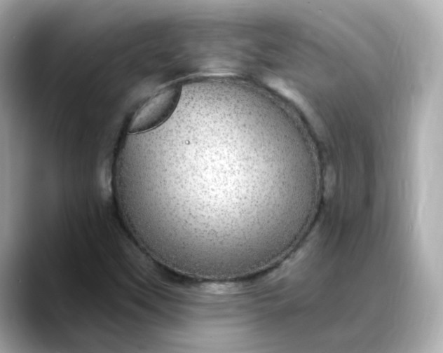 X0000088431451200706051221