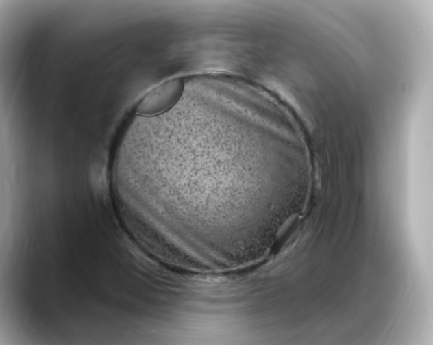 X0000088431452200706051221