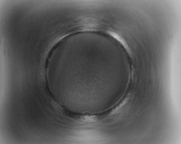 X0000088431453200706051221