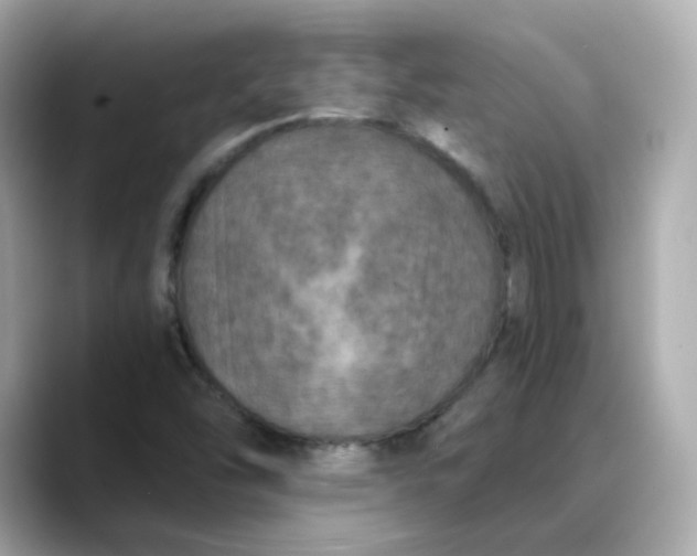 X0000088431454200706051221