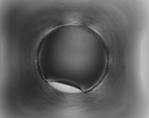 X0000088431455200706051221