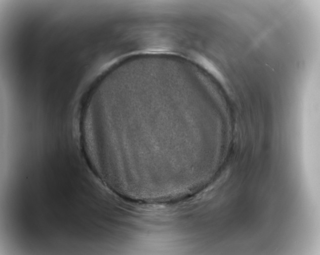 X0000088431456200706051221