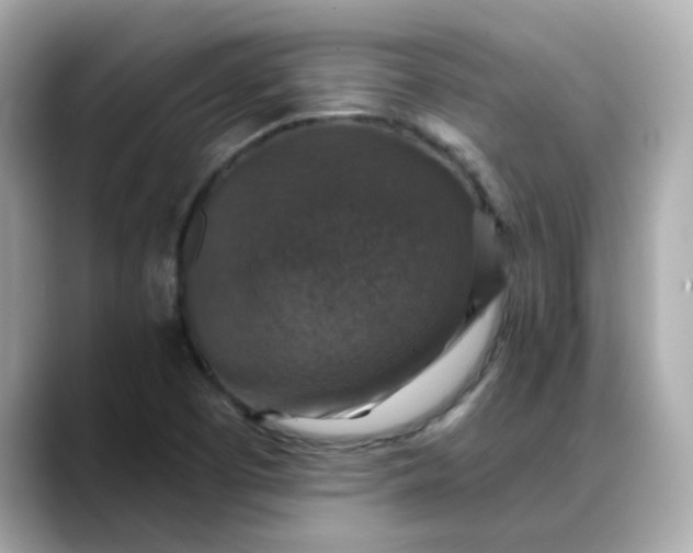 X0000088431457200706051221