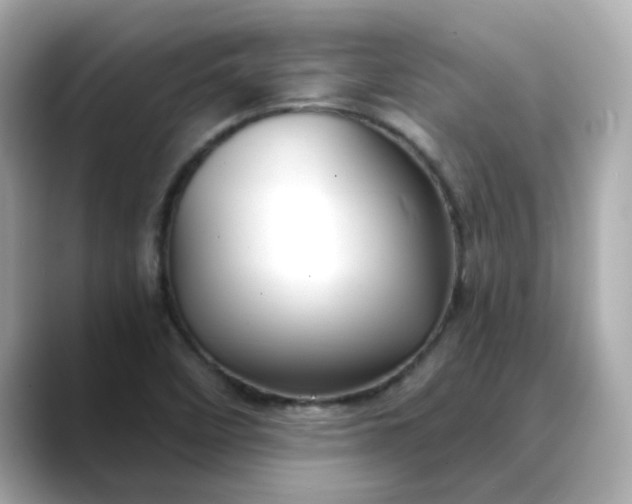 X0000088431458200706051221